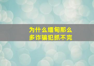 为什么缅甸那么多诈骗犯抓不完