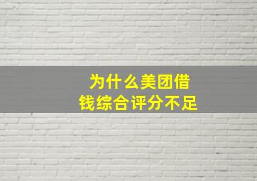 为什么美团借钱综合评分不足