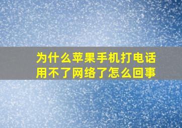 为什么苹果手机打电话用不了网络了怎么回事