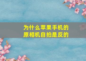 为什么苹果手机的原相机自拍是反的