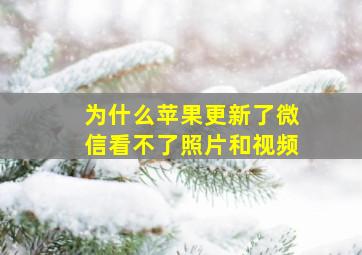 为什么苹果更新了微信看不了照片和视频