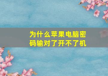 为什么苹果电脑密码输对了开不了机