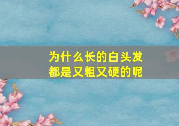 为什么长的白头发都是又粗又硬的呢