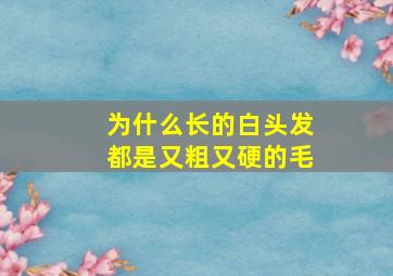 为什么长的白头发都是又粗又硬的毛