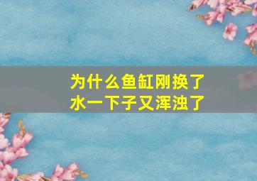 为什么鱼缸刚换了水一下子又浑浊了