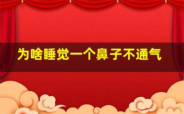 为啥睡觉一个鼻子不通气