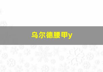 乌尔德腰甲y