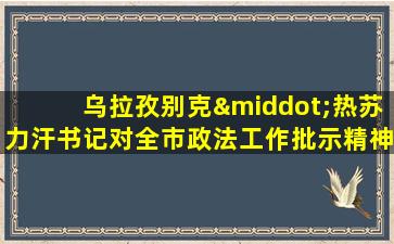 乌拉孜别克·热苏力汗书记对全市政法工作批示精神