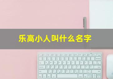 乐高小人叫什么名字