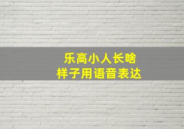 乐高小人长啥样子用语音表达