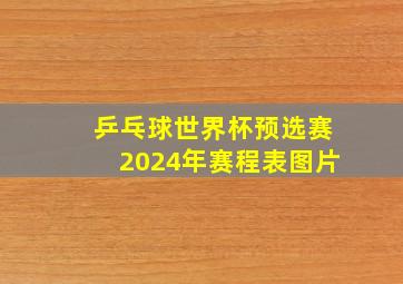 乒乓球世界杯预选赛2024年赛程表图片