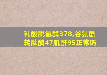 乳酸脱氢酶378,谷氨酰转肽酶47肌酐95正常吗