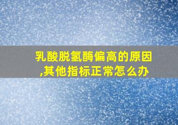 乳酸脱氢酶偏高的原因,其他指标正常怎么办