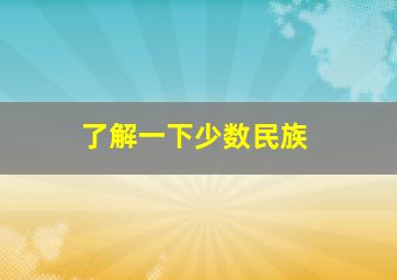 了解一下少数民族