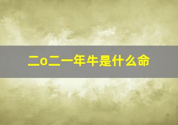 二o二一年牛是什么命