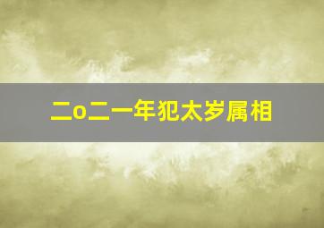 二o二一年犯太岁属相