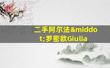 二手阿尔法·罗密欧Giulia