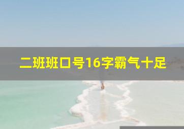 二班班口号16字霸气十足