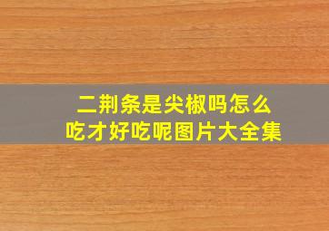 二荆条是尖椒吗怎么吃才好吃呢图片大全集