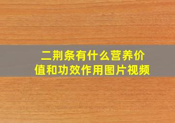 二荆条有什么营养价值和功效作用图片视频