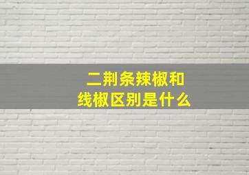 二荆条辣椒和线椒区别是什么