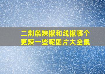 二荆条辣椒和线椒哪个更辣一些呢图片大全集