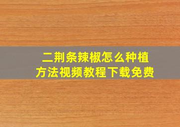 二荆条辣椒怎么种植方法视频教程下载免费