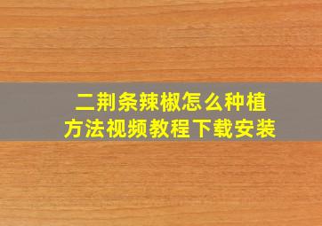 二荆条辣椒怎么种植方法视频教程下载安装