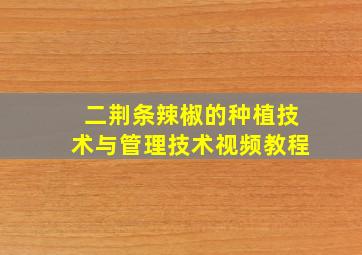 二荆条辣椒的种植技术与管理技术视频教程