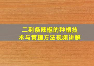 二荆条辣椒的种植技术与管理方法视频讲解