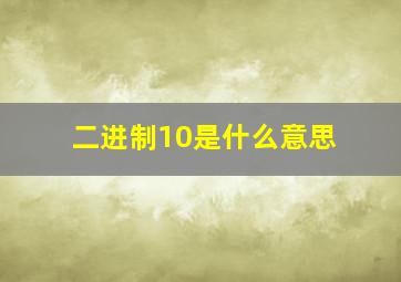 二进制10是什么意思