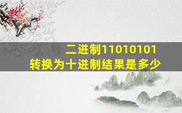 二进制11010101转换为十进制结果是多少