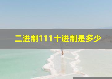 二进制111十进制是多少