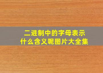 二进制中的字母表示什么含义呢图片大全集