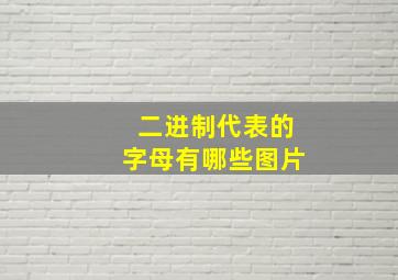 二进制代表的字母有哪些图片