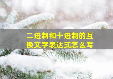 二进制和十进制的互换文字表达式怎么写