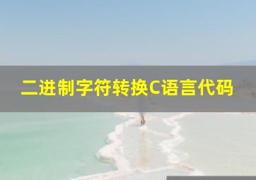 二进制字符转换C语言代码