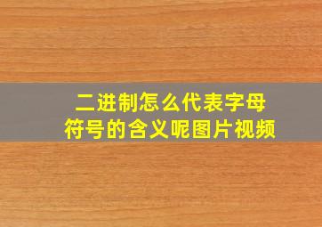 二进制怎么代表字母符号的含义呢图片视频