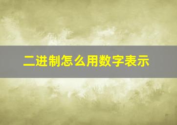 二进制怎么用数字表示