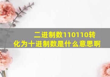 二进制数110110转化为十进制数是什么意思啊