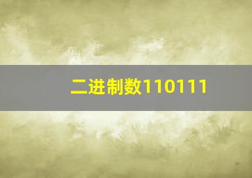 二进制数110111