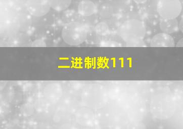 二进制数111