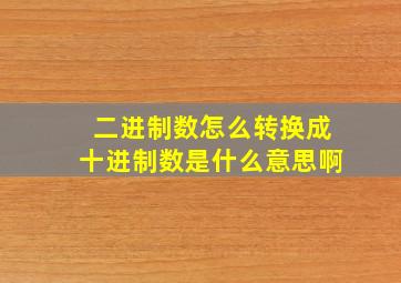 二进制数怎么转换成十进制数是什么意思啊