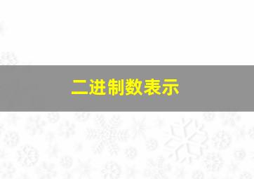 二进制数表示