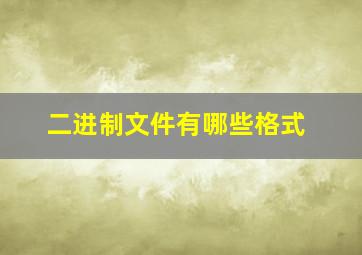 二进制文件有哪些格式