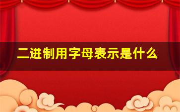 二进制用字母表示是什么