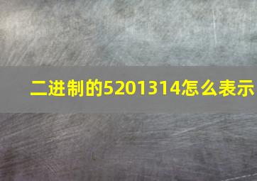 二进制的5201314怎么表示