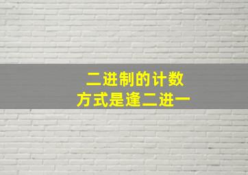 二进制的计数方式是逢二进一