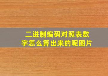 二进制编码对照表数字怎么算出来的呢图片