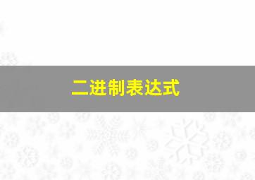 二进制表达式